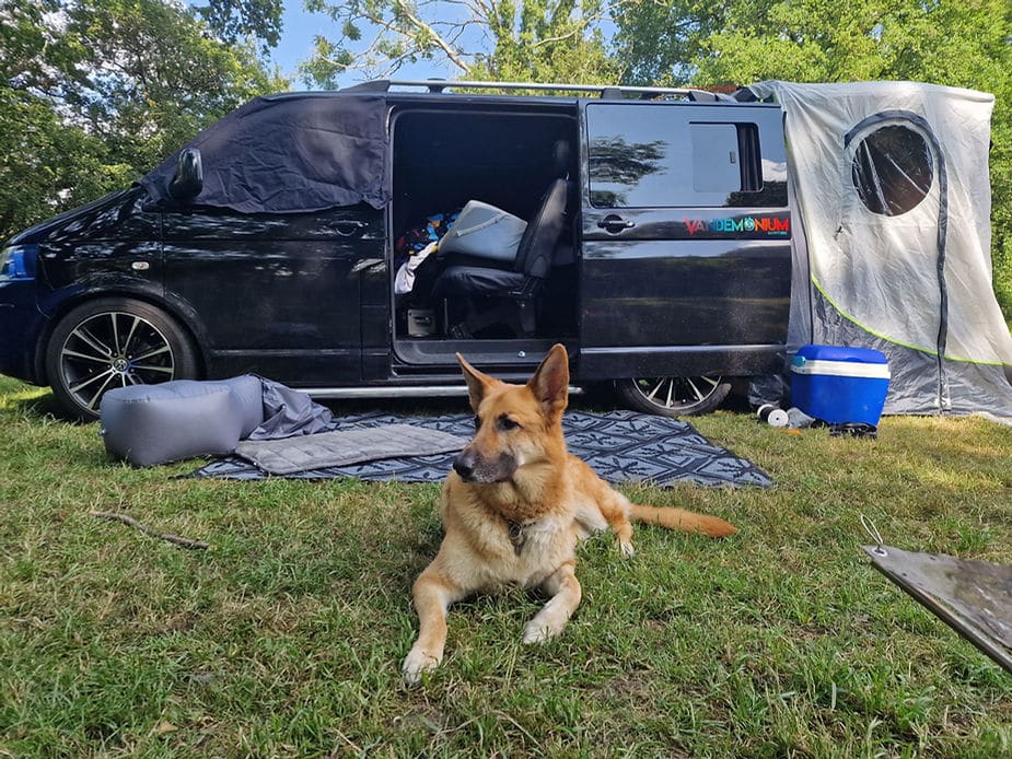 Van Dogs: Unleashing The Canine Spirit Of Campervan Adventures