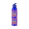 Barbiecore Van Girl Sky Water Bottle